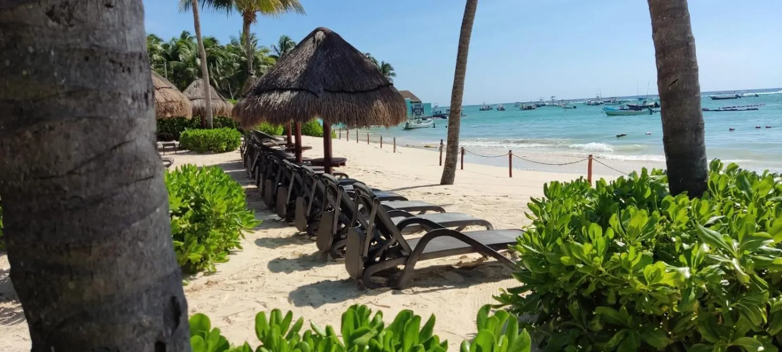 The Elements Oceanfront & Beachside Condo Hotel Playa del Carmen